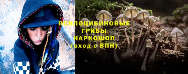 герыч Алзамай