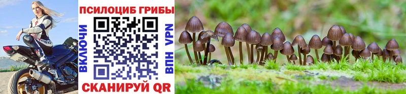 Галлюциногенные грибы Psilocybine cubensis  Ковылкино 